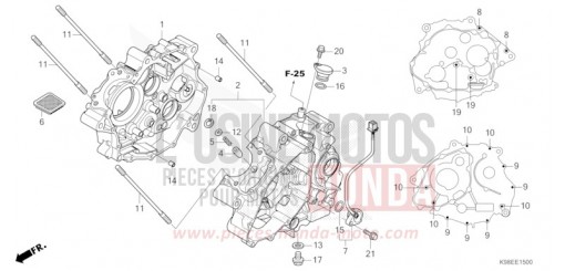 CARTER MOTEUR CBF125NAR de 2024